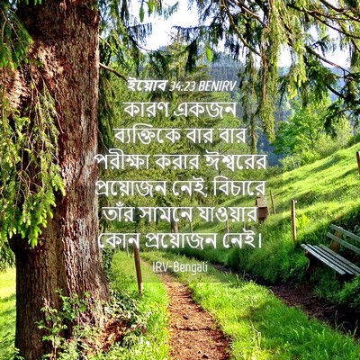 Picture 04 - ইয়োব 34:23 BENIRV - কারণ একজন - Bible Verse Picture