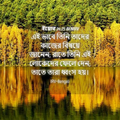 Picture 04 - ইয়োব 34:25 BENIRV - এই ভাবে তিনি তাদের - Bible Verse Picture