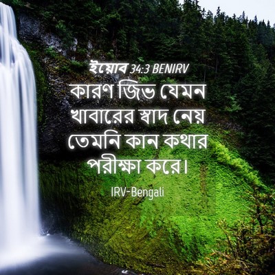 Picture 04 - ইয়োব 34:3 BENIRV - কারণ জিভ যেমন - Bible Verse Picture