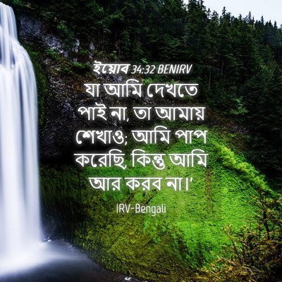 Picture 04 - ইয়োব 34:32 BENIRV - যা আমি দেখতে পাই - Bible Verse Picture