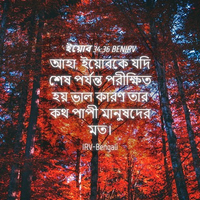 Picture 04 - ইয়োব 34:36 BENIRV - আহা, ইয়োবকে যদি - Bible Verse Picture