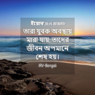 Picture 04 - ইয়োব 36:14 BENIRV - তারা যুবক - Bible Verse Picture