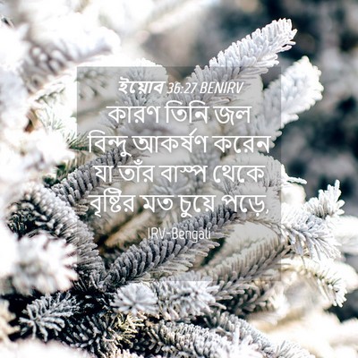 Picture 04 - ইয়োব 36:27 BENIRV - কারণ তিনি জল - Bible Verse Picture