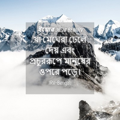 Picture 04 - ইয়োব 36:28 BENIRV - যা মেঘেরা ঢেলে - Bible Verse Picture