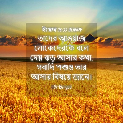 Picture 04 - ইয়োব 36:33 BENIRV - তাদের আওয়াজ - Bible Verse Picture