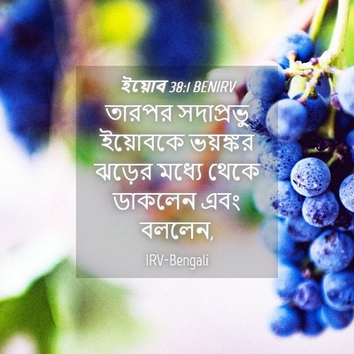 Picture 04 - ইয়োব 38:1 BENIRV - তারপর সদাপ্রভু - Bible Verse Picture