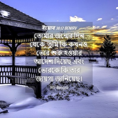 Picture 04 - ইয়োব 38:12 BENIRV - তোমার জন্মের দিন - Bible Verse Picture