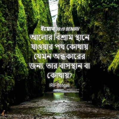 Picture 04 - ইয়োব 38:19 BENIRV - আলোর বিশ্রাম - Bible Verse Picture