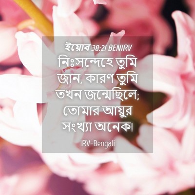 Picture 04 - ইয়োব 38:21 BENIRV - নিঃসন্দেহে তুমি - Bible Verse Picture