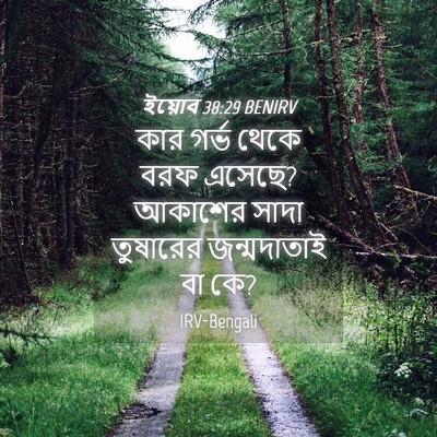 Picture 04 - ইয়োব 38:29 BENIRV - কার গর্ভ থেকে বরফ - Bible Verse Picture