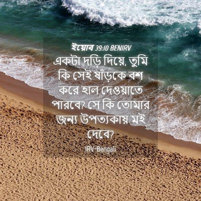 Picture 04 - ইয়োব 39:10 BENIRV - একটা দড়ি দিয়ে, - Bible Verse Picture