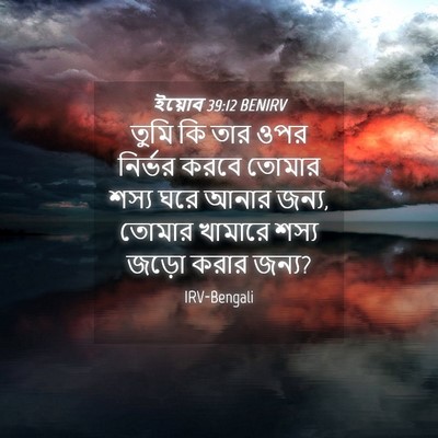 Picture 04 - ইয়োব 39:12 BENIRV - তুমি কি তার ওপর - Bible Verse Picture
