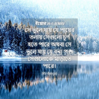 Picture 04 - ইয়োব 39:15 BENIRV - সে ভুলে যায় যে - Bible Verse Picture