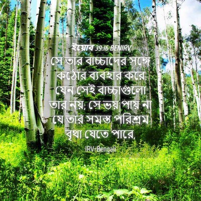 Picture 04 - ইয়োব 39:16 BENIRV - সে তার বাচ্চাদের - Bible Verse Picture