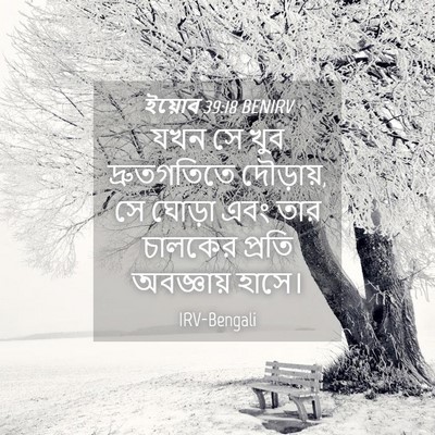 Picture 04 - ইয়োব 39:18 BENIRV - যখন সে খুব - Bible Verse Picture