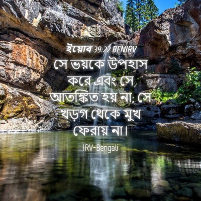 Picture 04 - ইয়োব 39:22 BENIRV - সে ভয়কে উপহাস করে - Bible Verse Picture