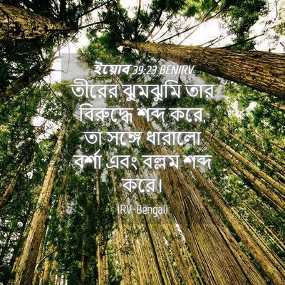 Picture 04 - ইয়োব 39:23 BENIRV - তীরের ঝুমঝুমি তার - Bible Verse Picture