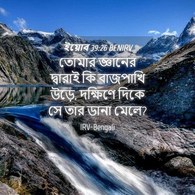 Picture 04 - ইয়োব 39:26 BENIRV - তোমার জ্ঞানের - Bible Verse Picture