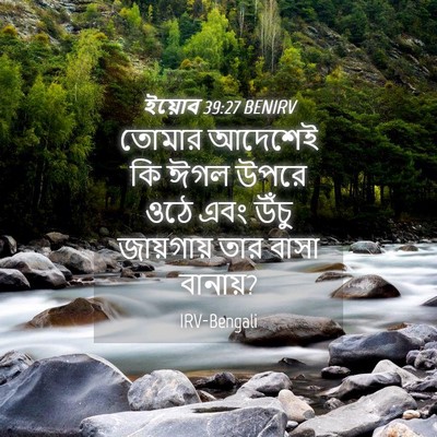 Picture 04 - ইয়োব 39:27 BENIRV - তোমার আদেশেই কি - Bible Verse Picture