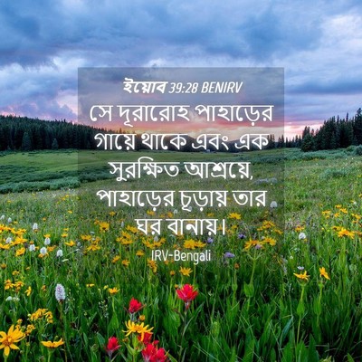 Picture 04 - ইয়োব 39:28 BENIRV - সে দূরারোহ - Bible Verse Picture