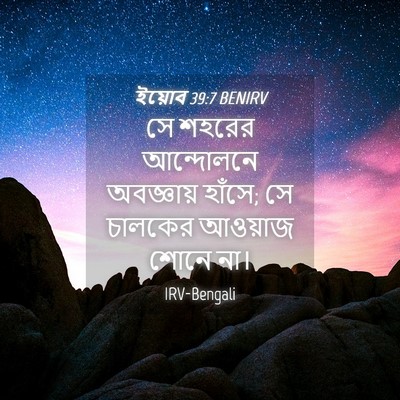 Picture 04 - ইয়োব 39:7 BENIRV - সে শহরের আন্দোলনে - Bible Verse Picture