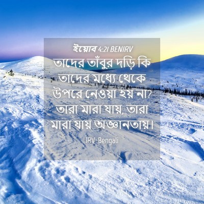 Picture 04 - ইয়োব 4:21 BENIRV - তাদের তাঁবুর দড়ি - Bible Verse Picture