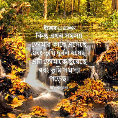 Picture 04 - ইয়োব 4:5 BENIRV - কিন্তু এখন সমস্যা - Bible Verse Picture