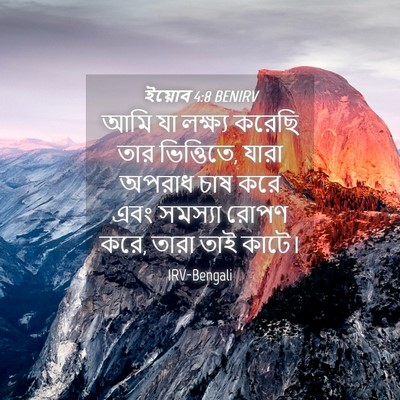Picture 04 - ইয়োব 4:8 BENIRV - আমি যা লক্ষ্য - Bible Verse Picture