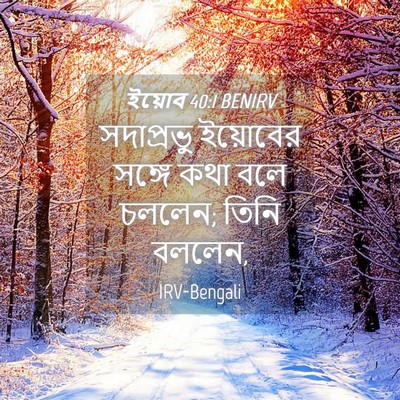 Picture 04 - ইয়োব 40:1 BENIRV - সদাপ্রভু ইয়োবের - Bible Verse Picture