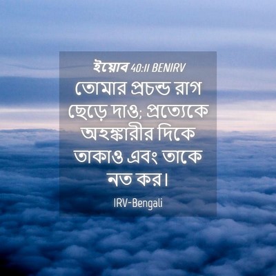 Picture 04 - ইয়োব 40:11 BENIRV - তোমার প্রচন্ড রাগ - Bible Verse Picture