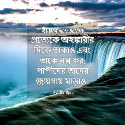 Picture 04 - ইয়োব 40:12 BENIRV - প্রত্যেকে - Bible Verse Picture