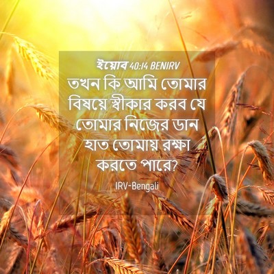 Picture 04 - ইয়োব 40:14 BENIRV - তখন কি আমি তোমার - Bible Verse Picture