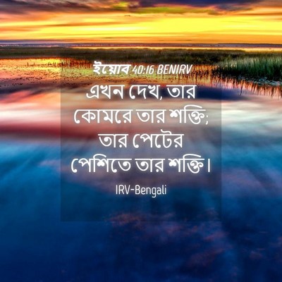 Picture 04 - ইয়োব 40:16 BENIRV - এখন দেখ, তার কোমরে - Bible Verse Picture