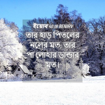 Picture 04 - ইয়োব 40:18 BENIRV - তার হাড় পিতলের - Bible Verse Picture