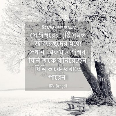 Picture 04 - ইয়োব 40:19 BENIRV - সে ঈশ্বরের সৃষ্টি - Bible Verse Picture