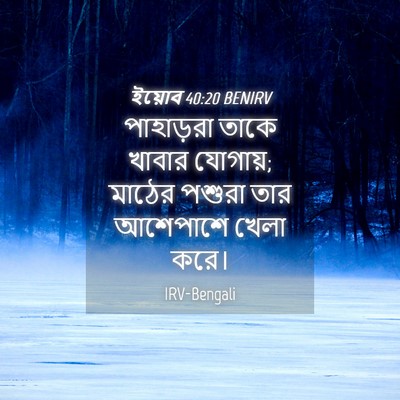 Picture 04 - ইয়োব 40:20 BENIRV - পাহাড়রা তাকে - Bible Verse Picture