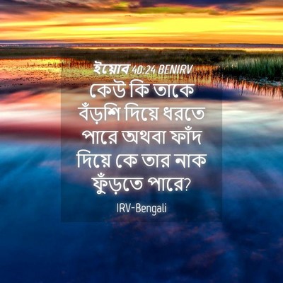 Picture 04 - ইয়োব 40:24 BENIRV - কেউ কি তাকে বঁড়শি - Bible Verse Picture