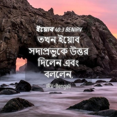 Picture 04 - ইয়োব 40:3 BENIRV - তখন ইয়োব - Bible Verse Picture