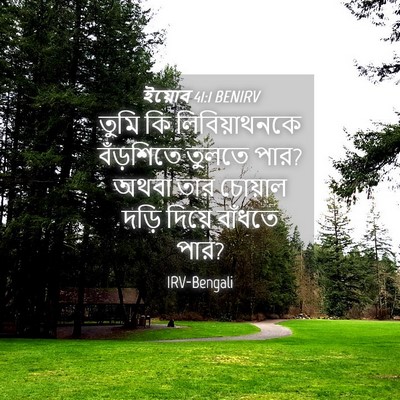 Picture 04 - ইয়োব 41:1 BENIRV - তুমি কি - Bible Verse Picture