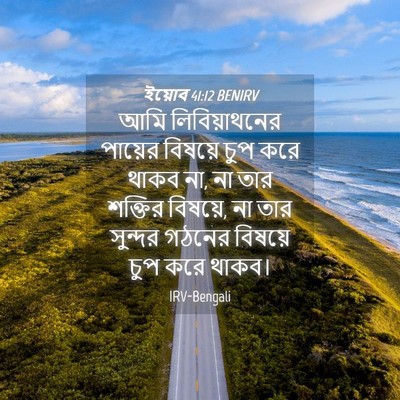 Picture 04 - ইয়োব 41:12 BENIRV - আমি লিবিয়াথনের - Bible Verse Picture