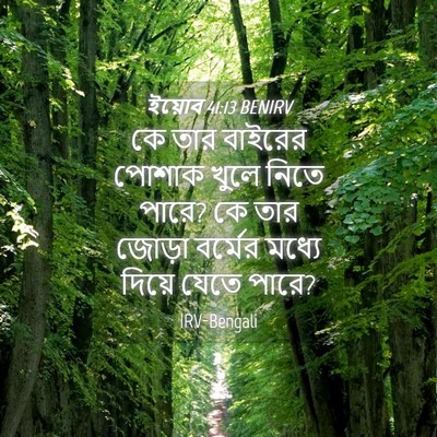 Picture 04 - ইয়োব 41:13 BENIRV - কে তার বাইরের - Bible Verse Picture