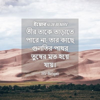 Picture 04 - ইয়োব 41:28 BENIRV - তীর তাকে তাড়াতে - Bible Verse Picture