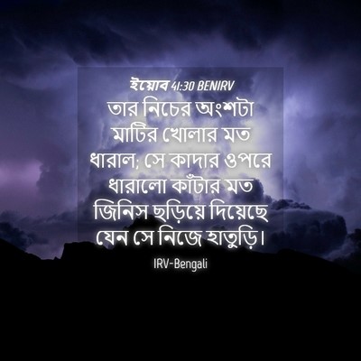 Picture 04 - ইয়োব 41:30 BENIRV - তার নিচের অংশটা - Bible Verse Picture