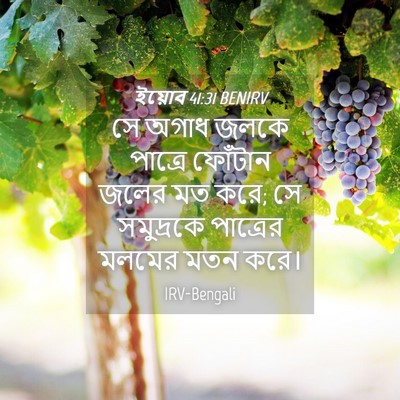 Picture 04 - ইয়োব 41:31 BENIRV - সে অগাধ জলকে - Bible Verse Picture