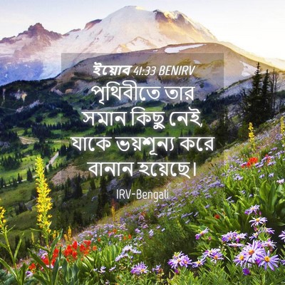 Picture 04 - ইয়োব 41:33 BENIRV - পৃথিবীতে তার সমান - Bible Verse Picture