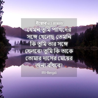 Picture 04 - ইয়োব 41:5 BENIRV - যেমন তুমি পাখিদের - Bible Verse Picture