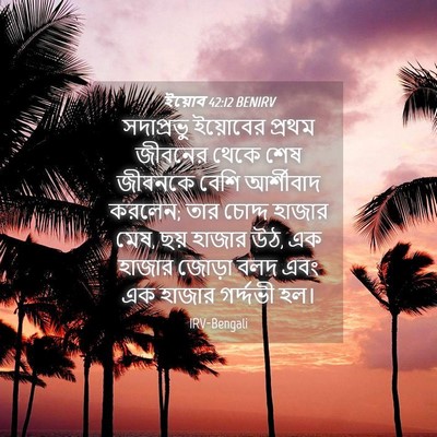 Picture 04 - ইয়োব 42:12 BENIRV - সদাপ্রভু ইয়োবের - Bible Verse Picture