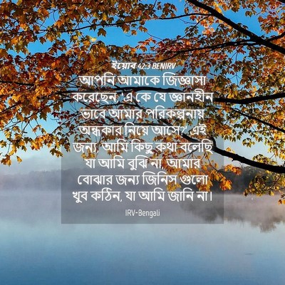 Picture 04 - ইয়োব 42:3 BENIRV - আপনি আমাকে - Bible Verse Picture