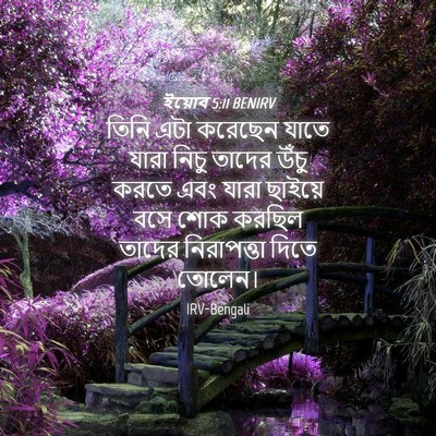 Picture 04 - ইয়োব 5:11 BENIRV - তিনি এটা করেছেন - Bible Verse Picture