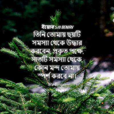 Picture 04 - ইয়োব 5:19 BENIRV - তিনি তোমায় ছয়টি - Bible Verse Picture